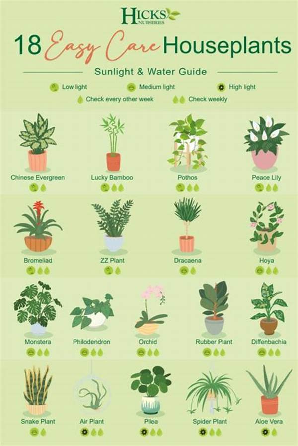 Easy-care Houseplants For Beginners