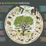 Ecosystem Management For Rare Species