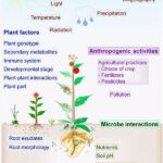 Environmental Factors In Plant Blooming
