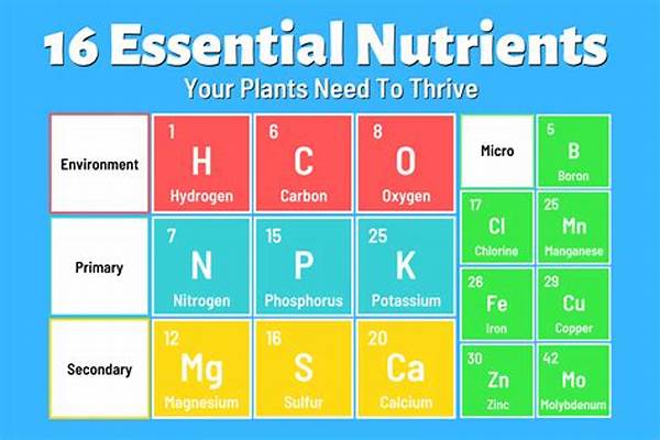 Essential Nutrients For Vibrant Flowers