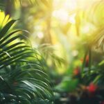 Exploring Diverse Plant Ecosystems