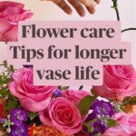 Flower Care For Longer Vase Life