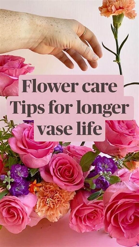 Flower Care For Longer Vase Life