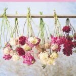 Flower Drying And Preserving Tools