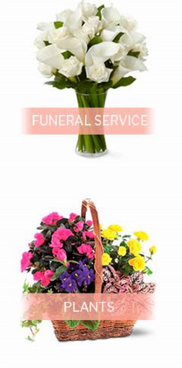 Fresh Flower Delivery Without Breaking The Bank