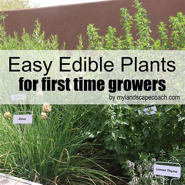 Hassle-free Plants For First-time Growers