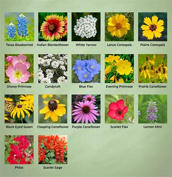 Identifying Wildflowers Across Different Seasons