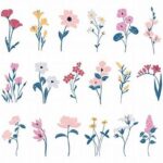 Minimalist Seasonal Floral Designs