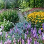 “native Perennial Garden Design Ideas”