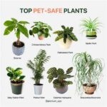Pet-safe Plants For Home Gardens
