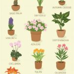 Plants Cats Cannot Poison Themselves