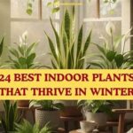 Plants That Thrive Easily