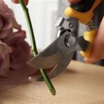 Proper Flower Stem Trimming