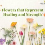 Proper Light For Flower Vitality