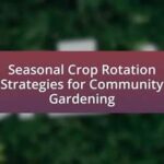Seasonal Plant Rotation Strategies