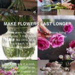 Secrets To Keeping Flowers Fresh