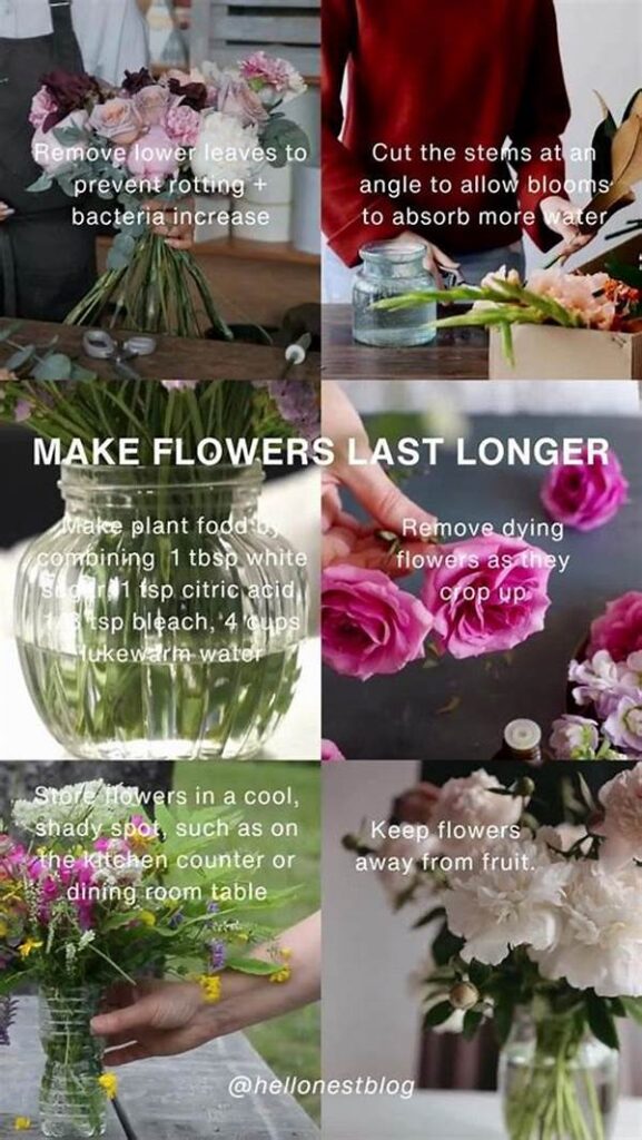 Secrets To Keeping Flowers Fresh