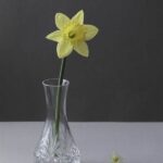 Shorter Vase Life For Flowers