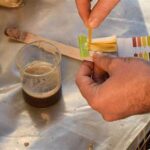 Soil Ph Testing With Household Items