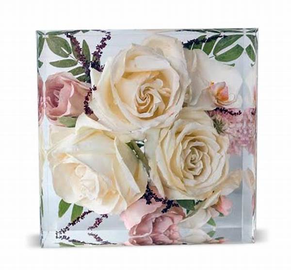 Trusted Suppliers Of Floral Preservation Products