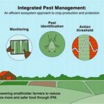 Winter Gardening Pest Management Techniques