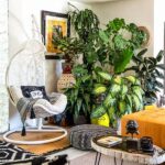 Animal-safe Home Decoration Plants