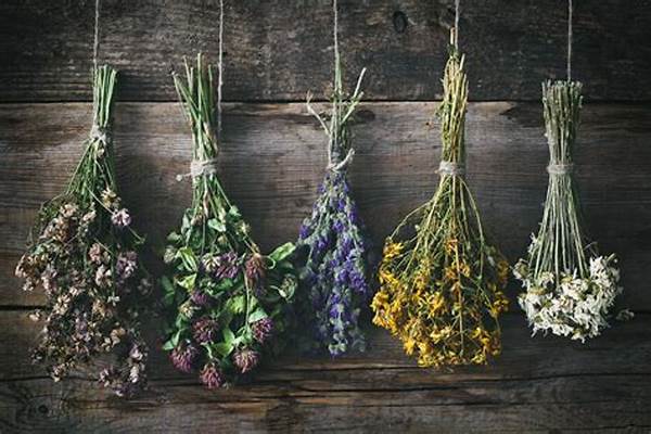 Best Practices For Drying Flowers