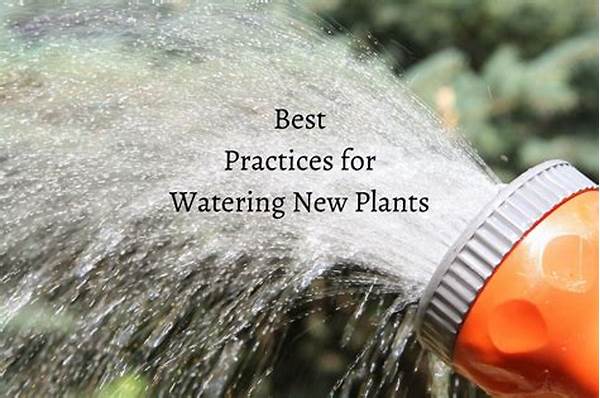Best Practices For Watering Plants