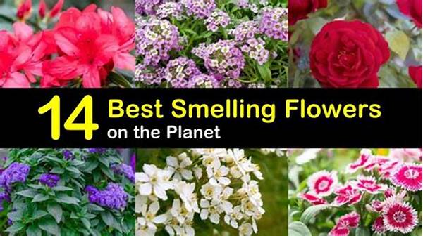 Best Smelling Floral Selection
