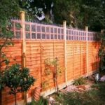 Cat-proof Garden Fencing Ideas