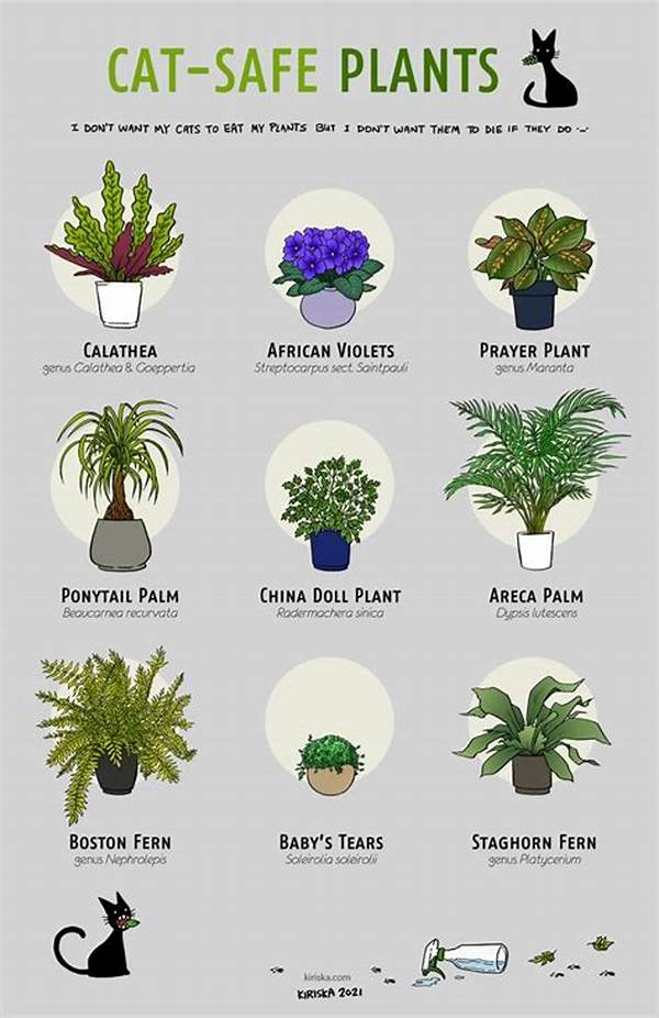 Cat-safe Indoor Plant Suggestions