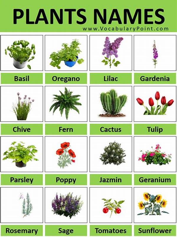 Child-friendly Garden Plants List