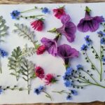 Choose Materials For Flower Drying