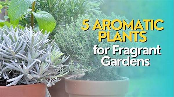 Choosing Aromatic Plants For Gardens