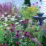 Cottage Garden Perennial Choices
