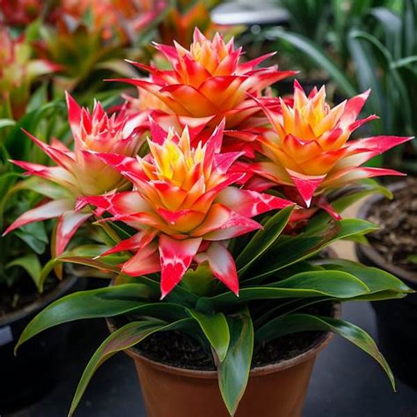 Easy-care Blooming Plant Varieties
