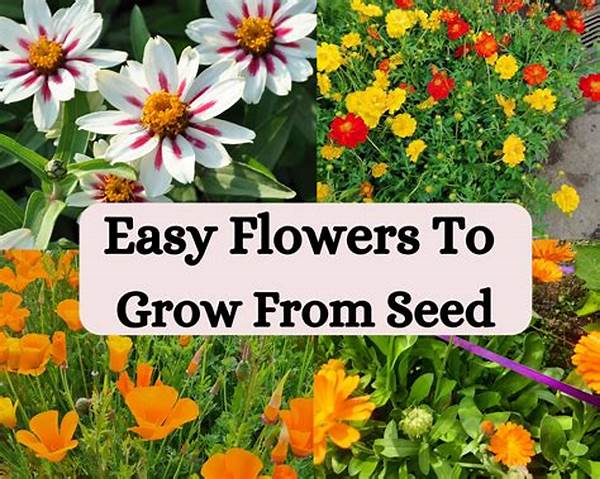 Easy-to-grow Flowers Varieties
