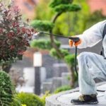 Effective Pest Control Methods For Flowers