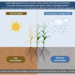 Effects Of Soil Moisture On Crops