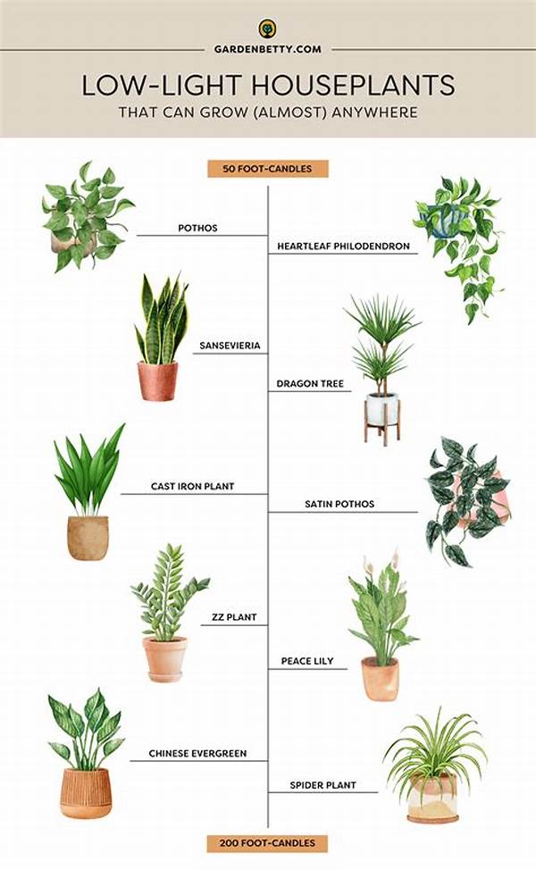 Family-friendly Low-light Indoor Plants