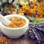 Flowers Used In Traditional Medicine