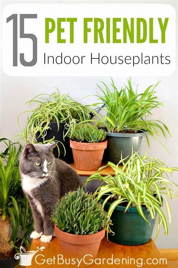 Houseplants Friendly To Pets