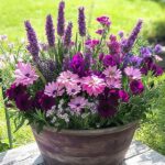 How To Design A Scented Flower Garden