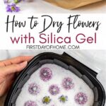 “how To Dry Flowers Silica Gel”