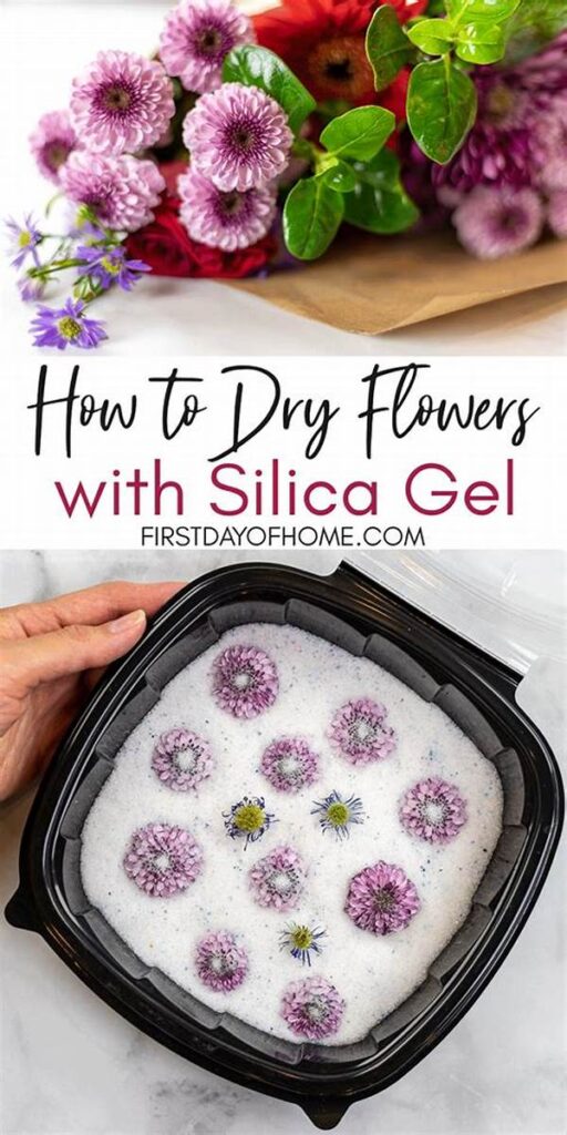 “how To Dry Flowers Silica Gel”