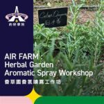 Kitty-friendly Herbal Garden
