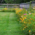 Low-maintenance Wildflower Landscaping
