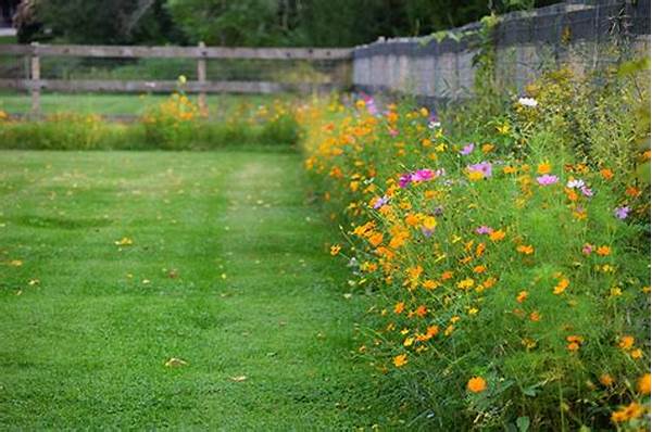 Low-maintenance Wildflower Landscaping