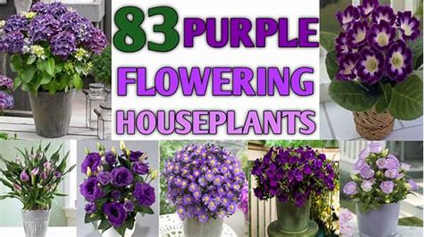 “no-fuss Flowering Plants For Homes”