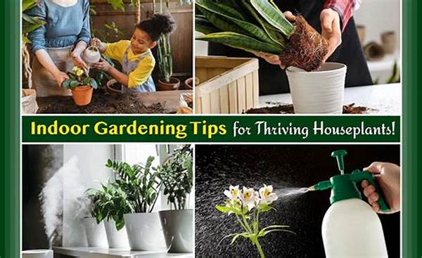 No-fuss Indoor Gardening Tips